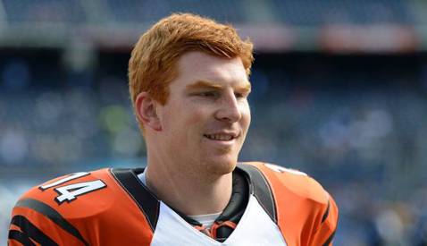 Andy Dalton and the Bengals will try to win the AFC North this season (Via USA Today Sports)